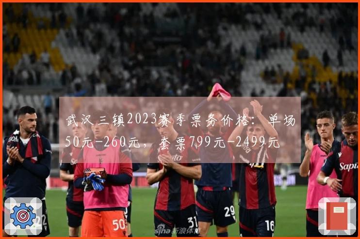 武汉三镇2023赛季票务价格：单场50元-260元，套票799元-2499元